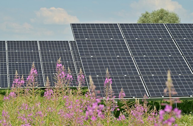 Solarmodule richtig reinigen – Tipps für eine langfristig hohe Leistung